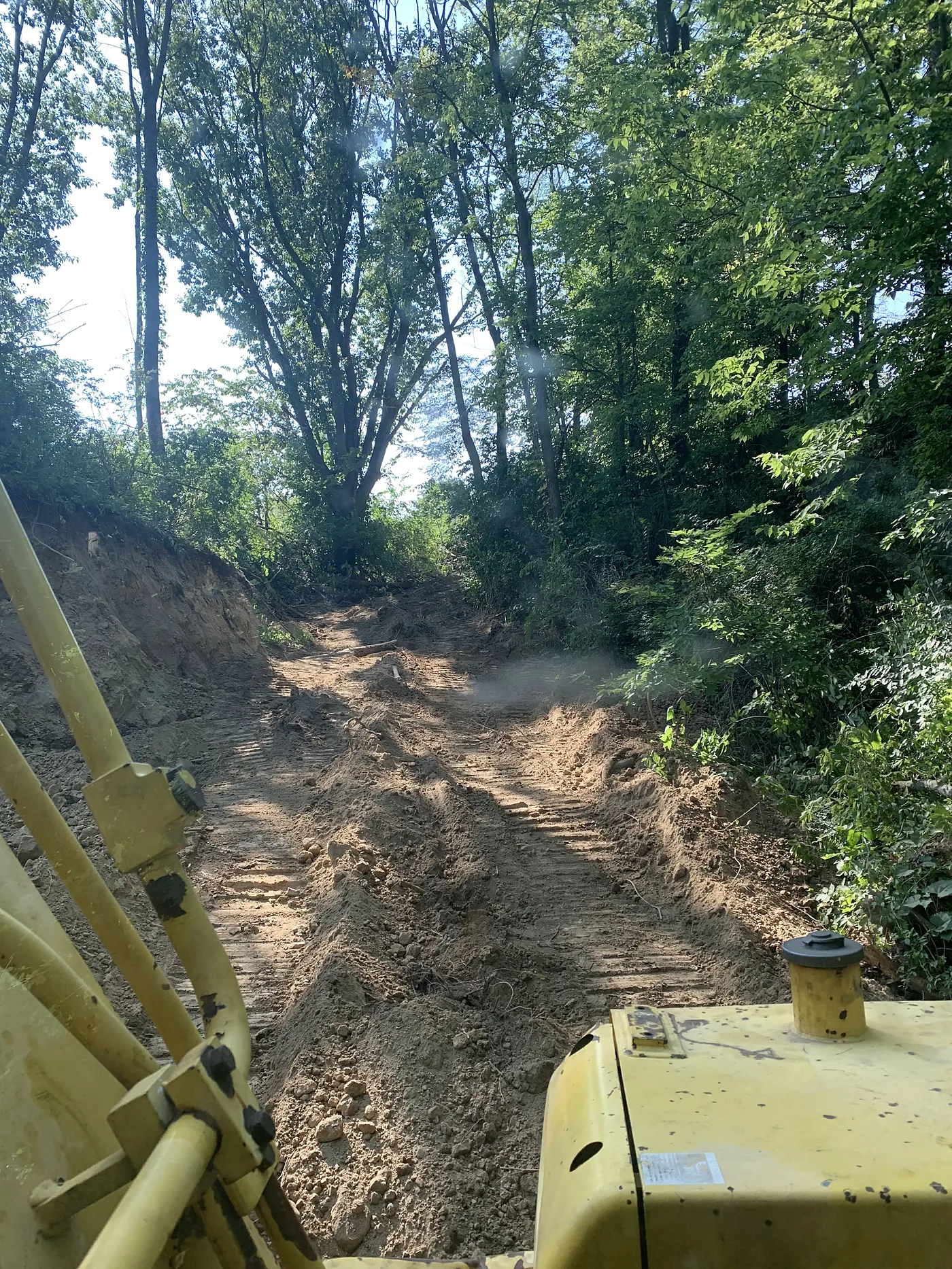 Dozer opening a lane through dense trees, seen from the operator’s seat