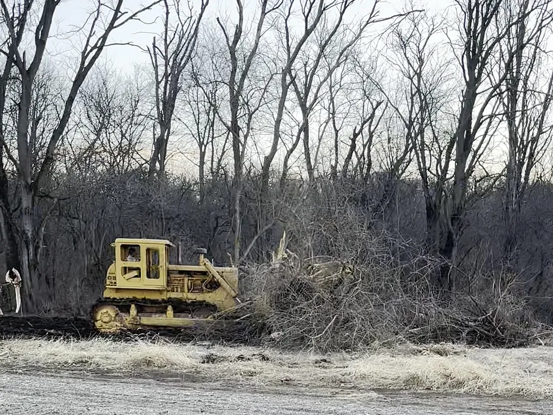 Frosty cleared field in front of a tree line where a dozer is pushing brush