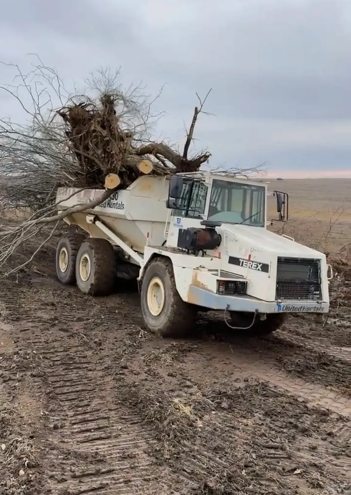 Salz articulated dump truck hauling a load of cleared trees and brush across a field